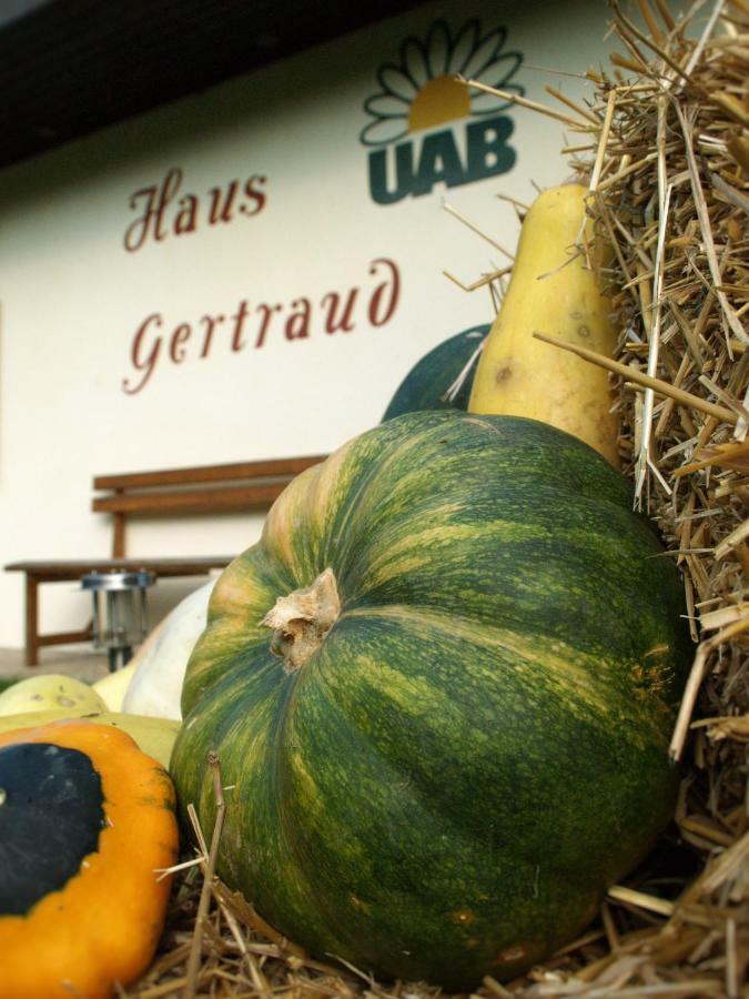 Vila Haus Gertraud Bad Gleichenberg Exteriér fotografie